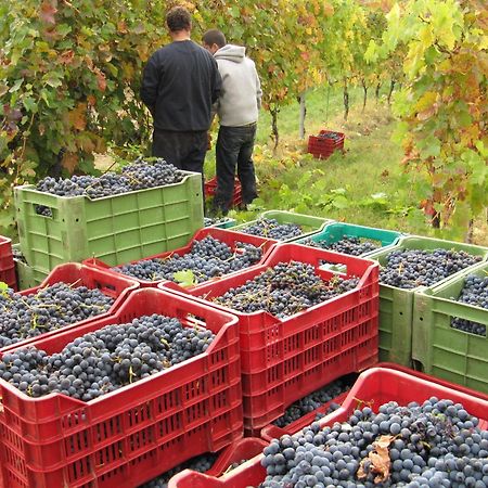 Podere Riosto Cantina&Agriturismo Pianoro Zewnętrze zdjęcie