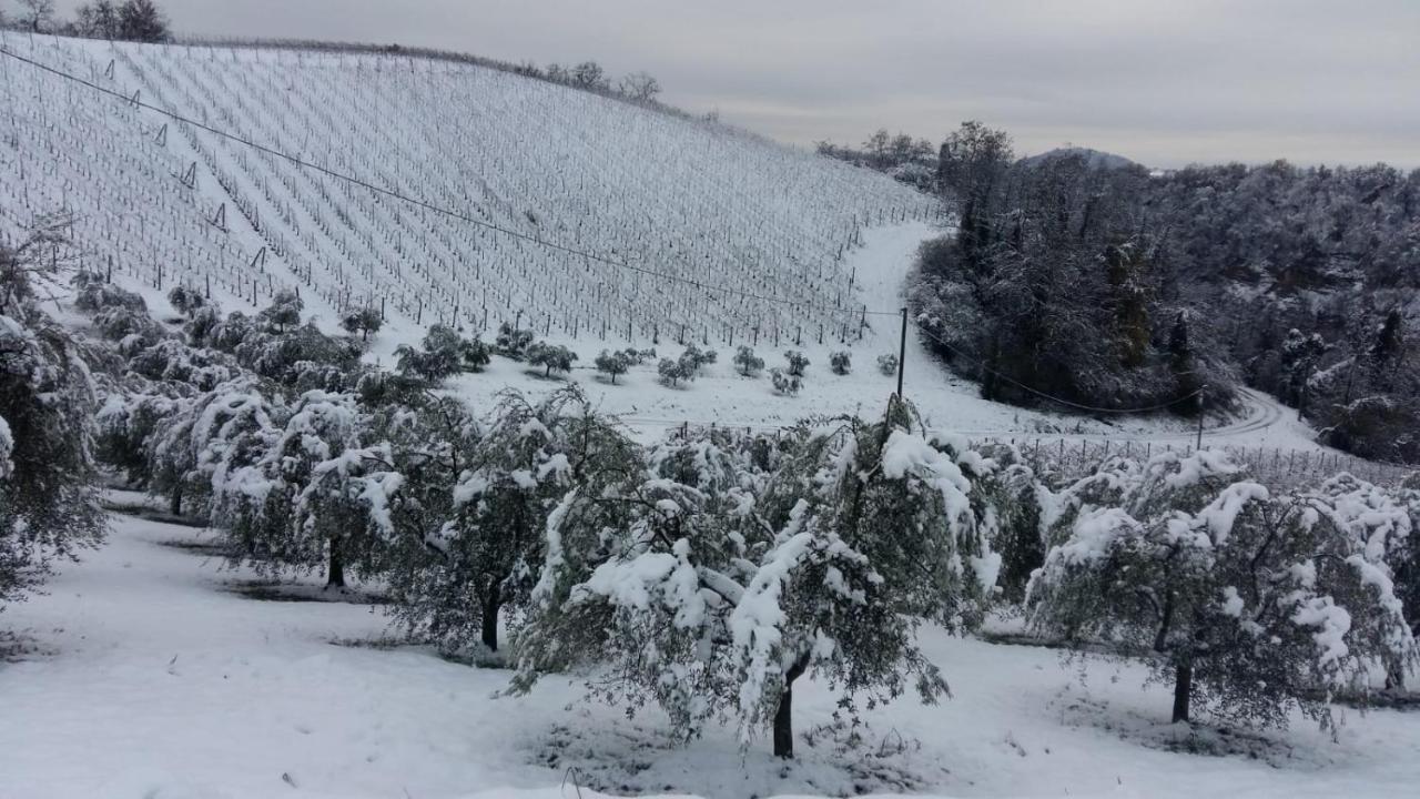 Podere Riosto Cantina&Agriturismo Pianoro Zewnętrze zdjęcie