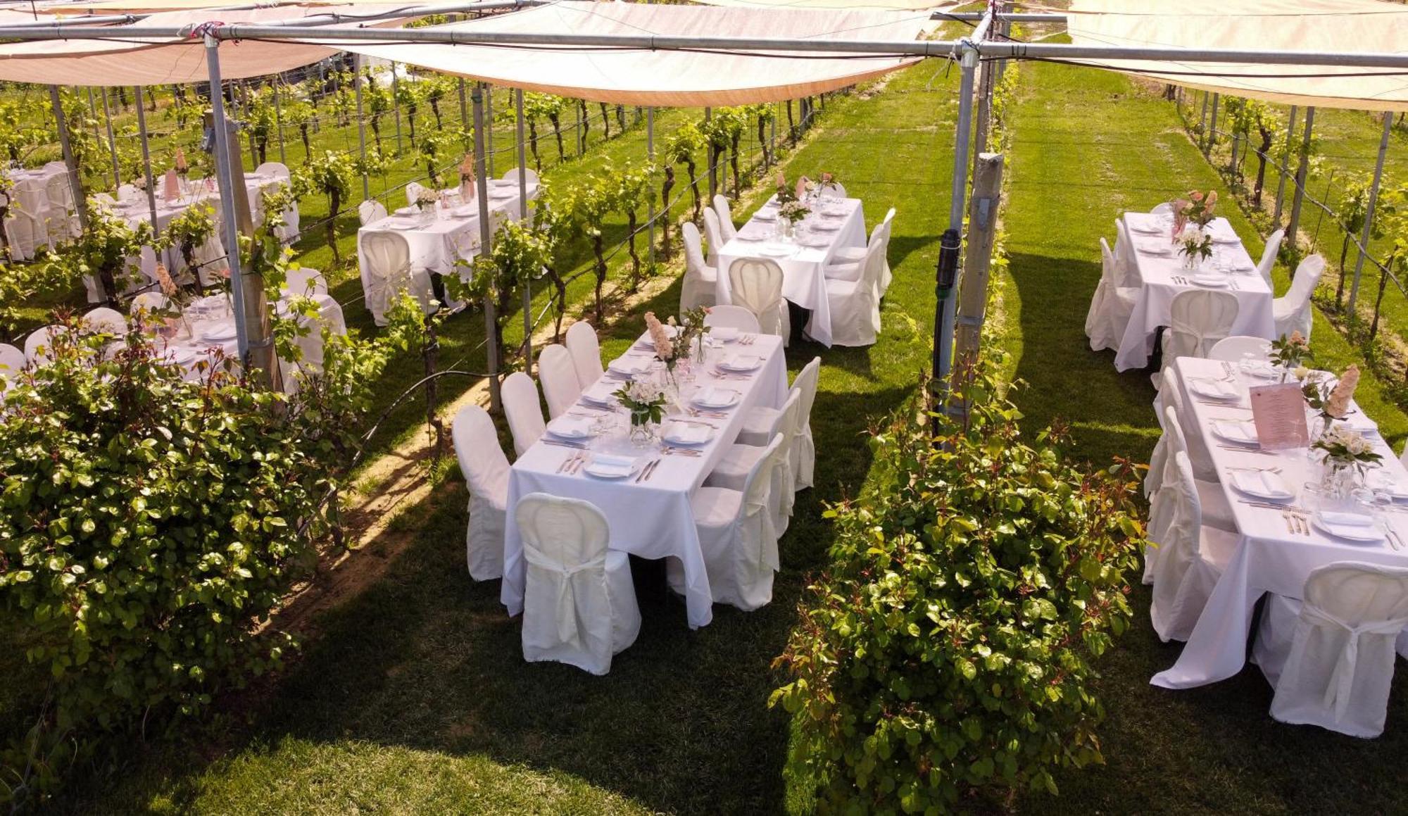 Podere Riosto Cantina&Agriturismo Pianoro Zewnętrze zdjęcie