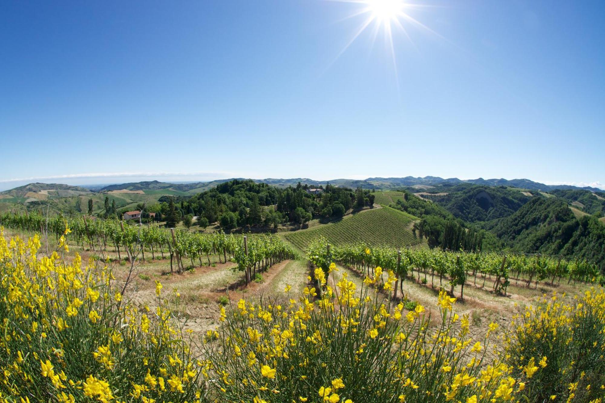 Podere Riosto Cantina&Agriturismo Pianoro Zewnętrze zdjęcie