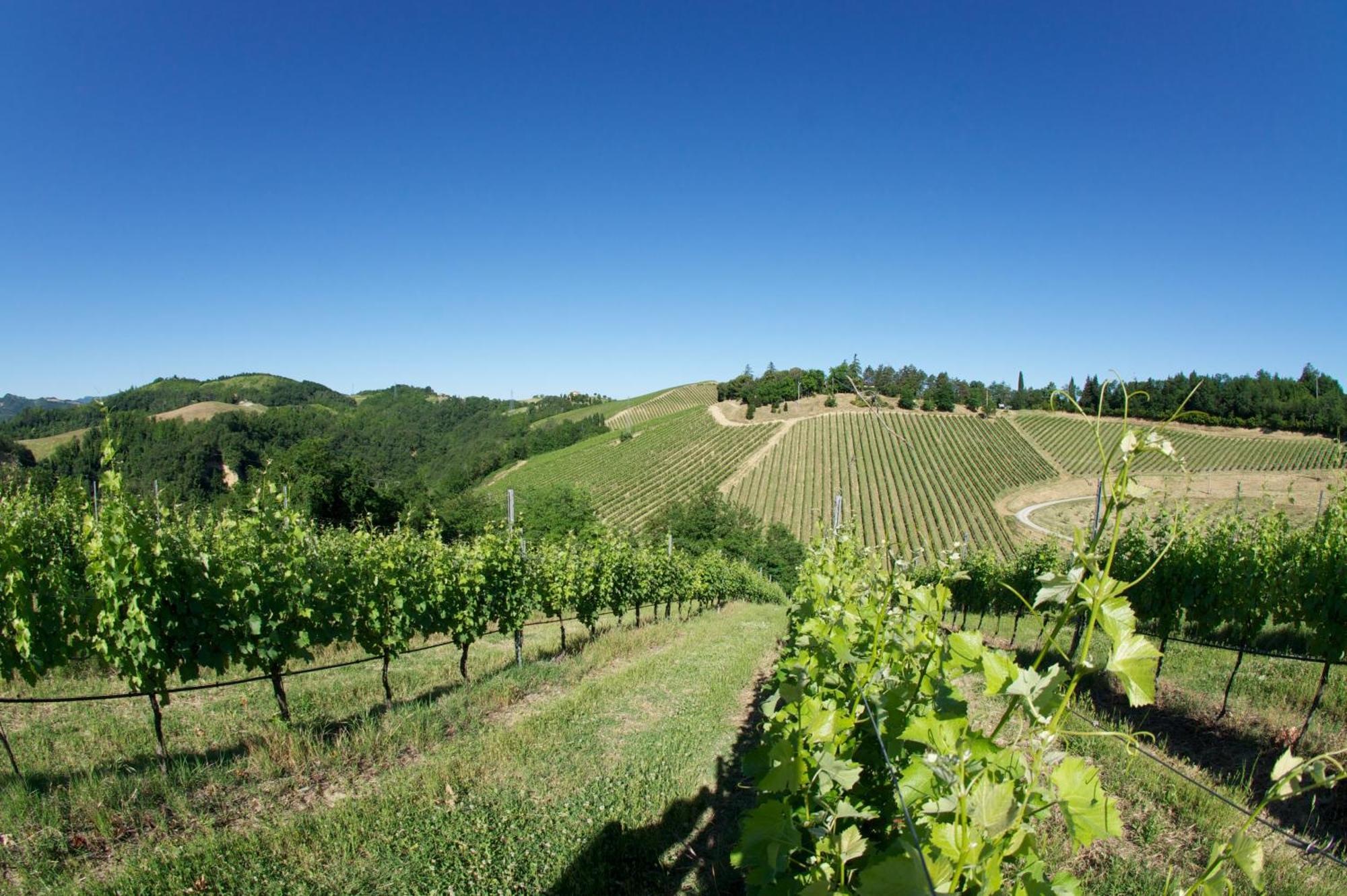 Podere Riosto Cantina&Agriturismo Pianoro Zewnętrze zdjęcie