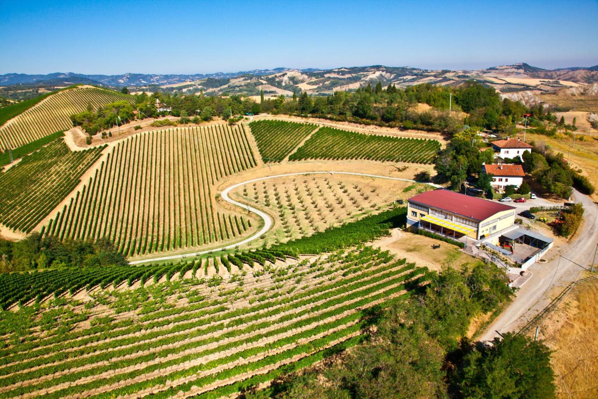 Podere Riosto Cantina&Agriturismo Pianoro Zewnętrze zdjęcie